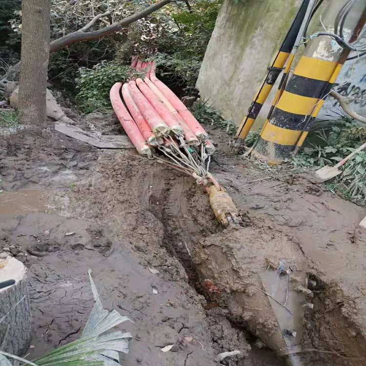 临高武汉焊接涂装线拖拉管